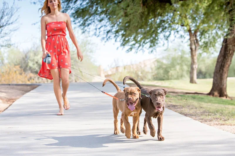 TWIN-TRAIL™ Dual Dog Leash